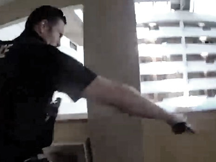 CrazyShit.com | TO KILL A PREDATOR - Crazy Shit