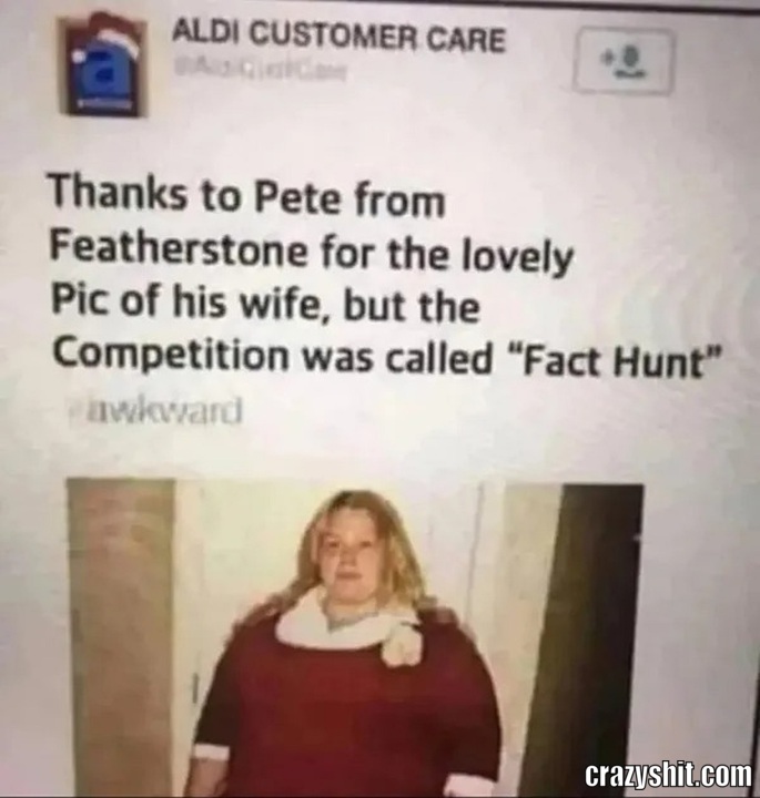 fact hunt