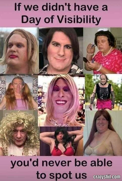 Transvestite day of visibility