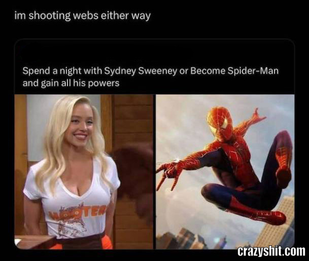 Shooting Webs