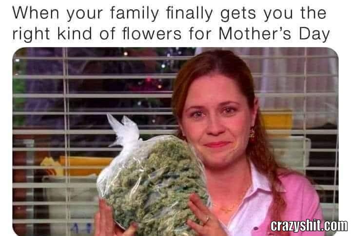 My Kind Of Flowers