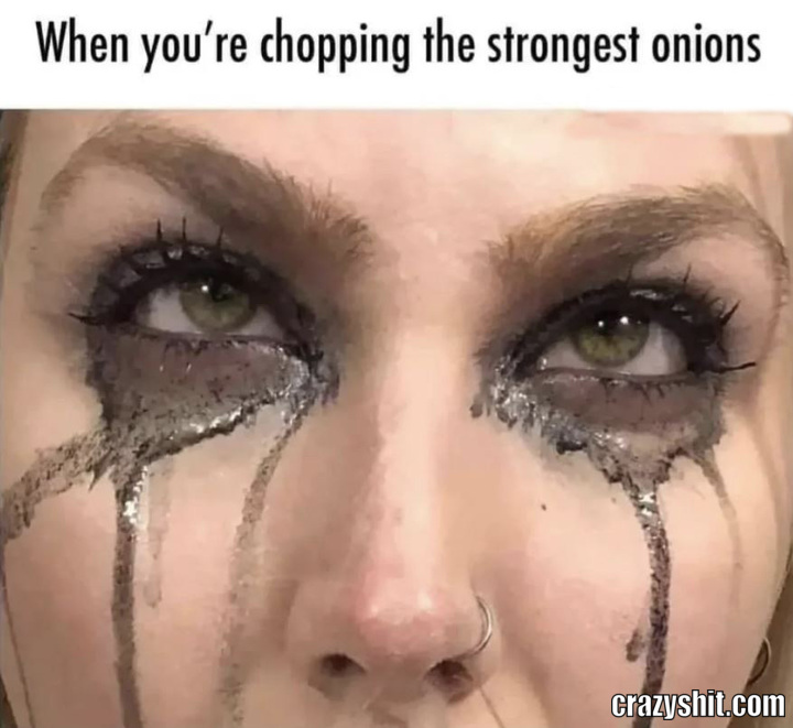 Damn You Onions