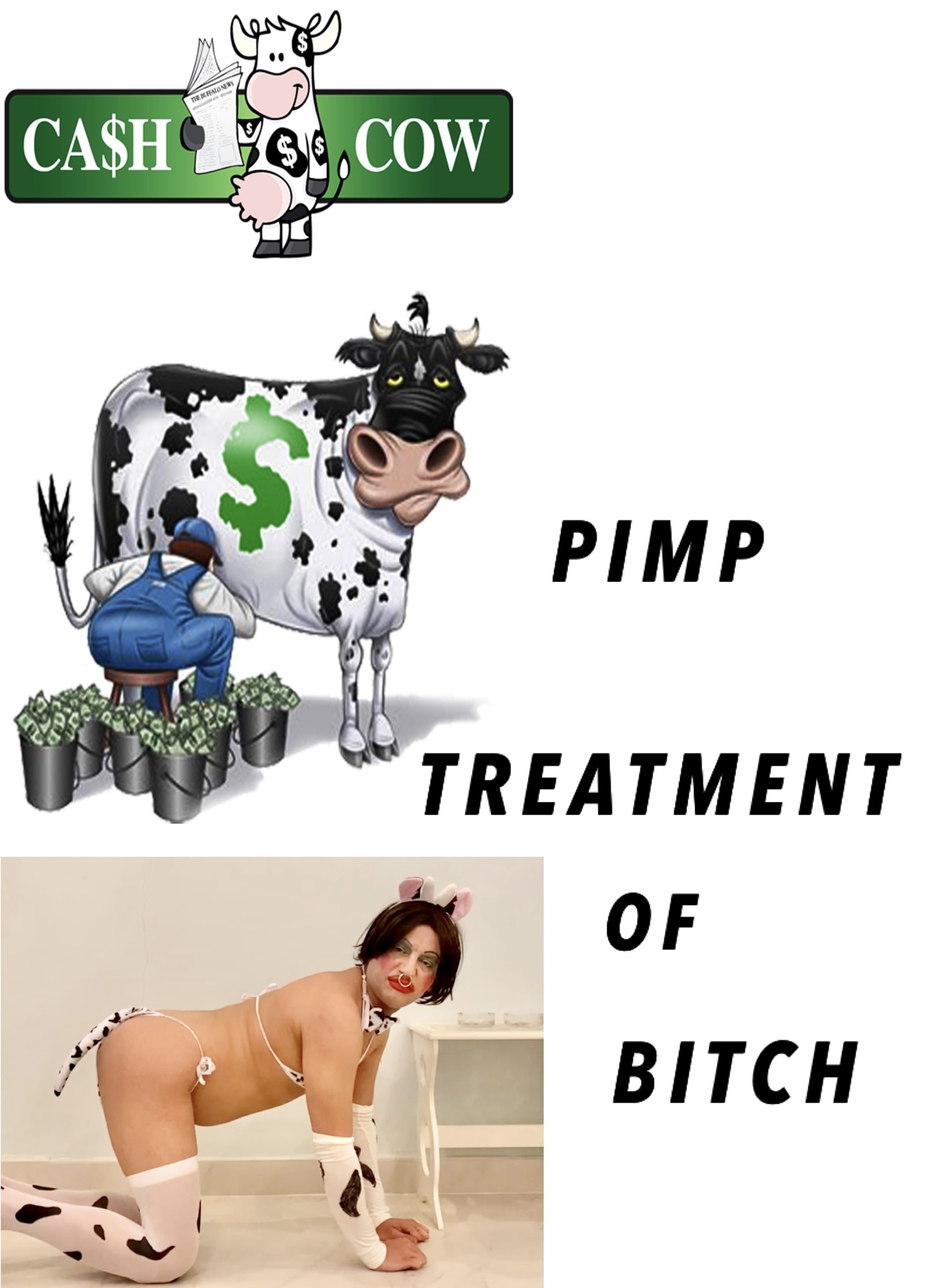 PIMP TREATMENT OF BITCH