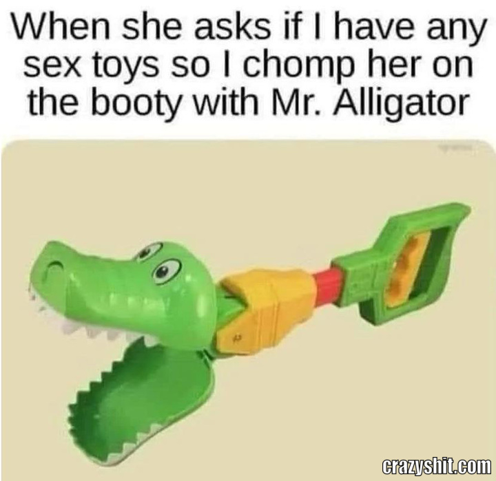 Oh Mr Alligator