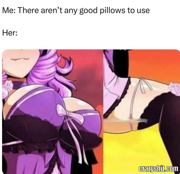 Best Pillows In The World