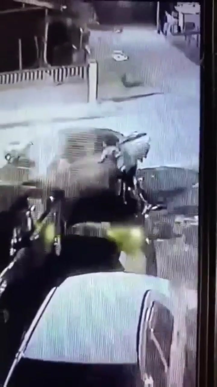 CrazyShit.com | Drunk Runs Over Lady Twice