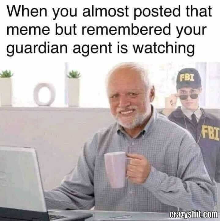 My Guardian Agent