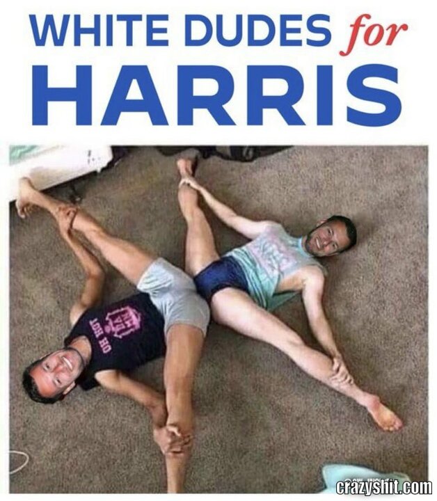 White dudes for Harris