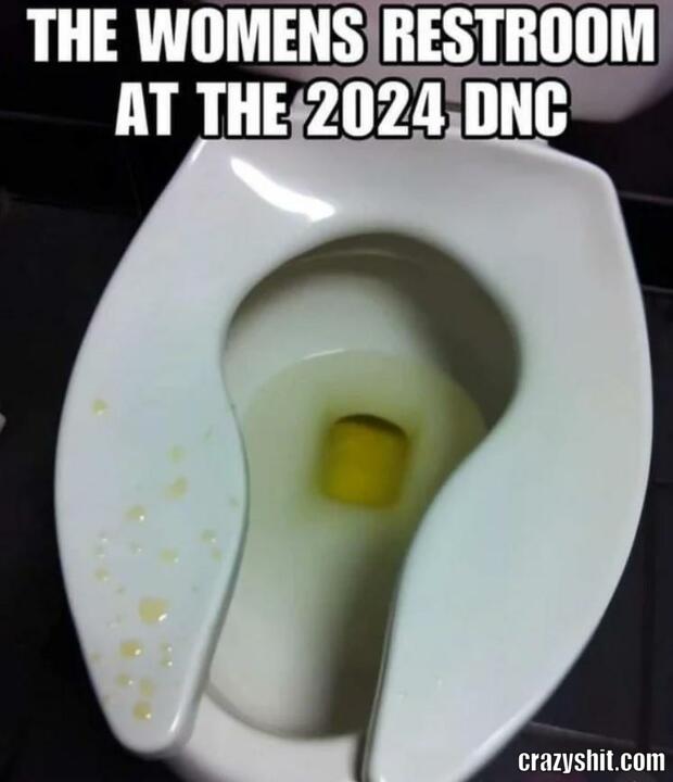 2024 DNC