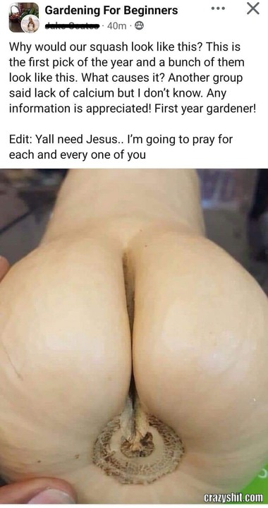 You Need Jesus