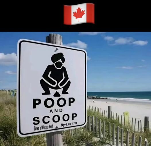 pooping at the beach