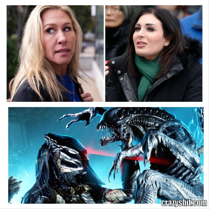 alien vs predator