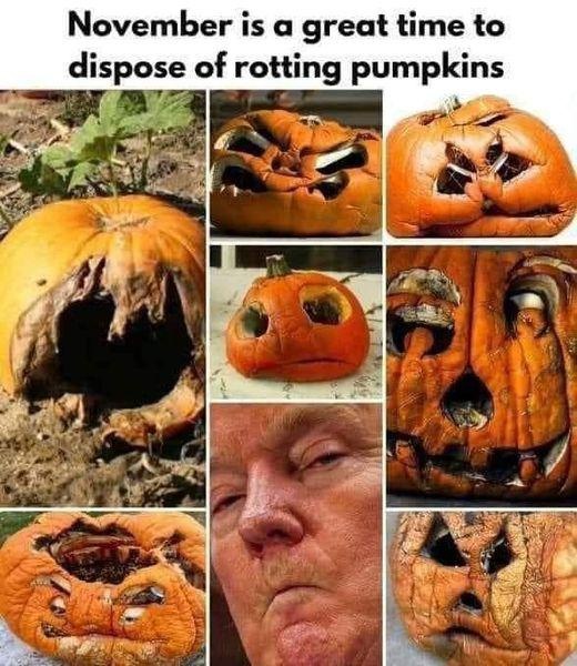 rotting pumpkin