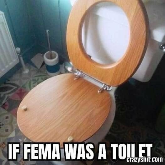 Fema