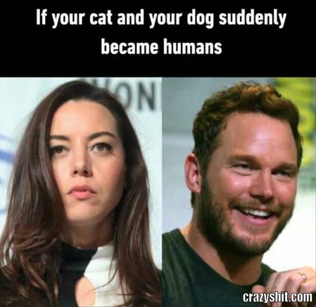 if your cat or your dog suddenly become humans