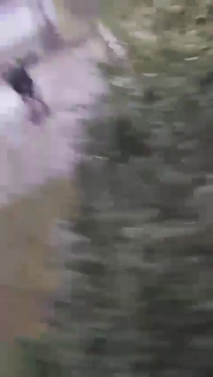 CrazyShit.com | Immigrants Rape in Broad Daylight
