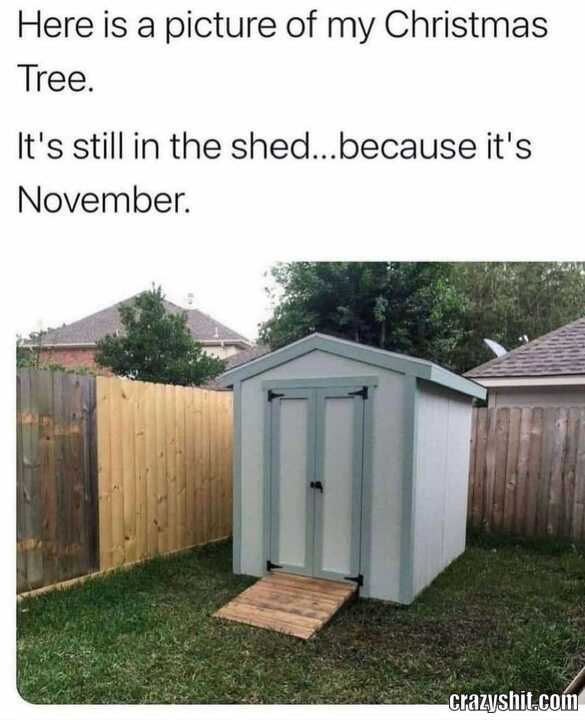 It's Fucking November