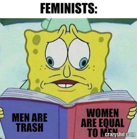 feminist