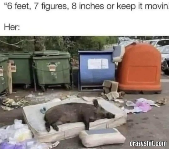 6feet