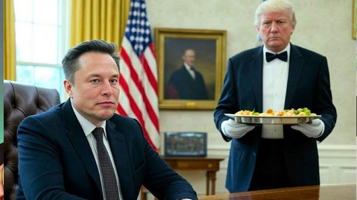 President Musk's Servant