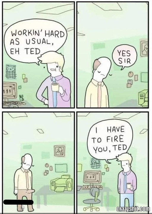 Sorry Ted