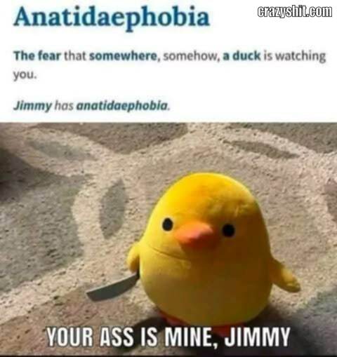 Beware Jimmy