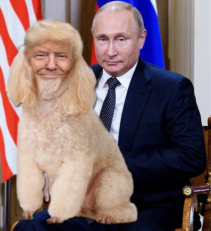 Putin's Lap Dog