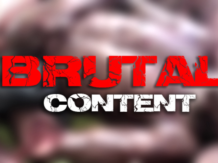 CrazyShit.com | BRUTAL MASHUP MADNESS - Crazy Shit