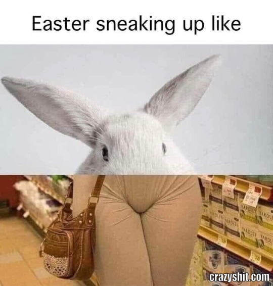 easter sniking up