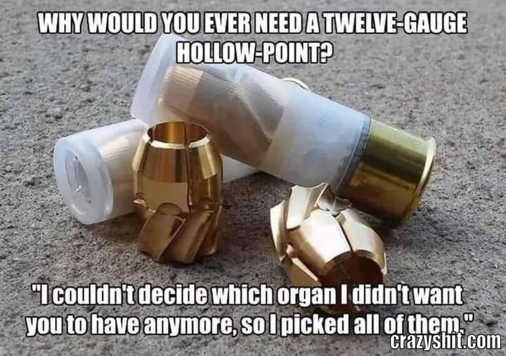 Twelve gauge hollow point