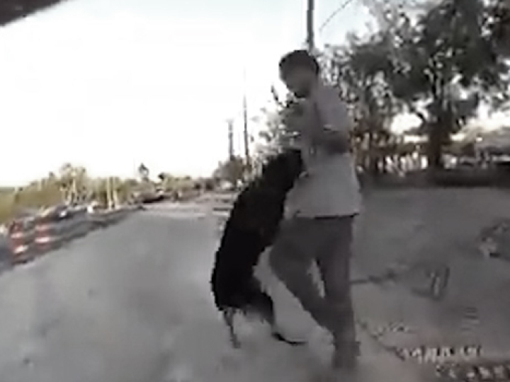 CrazyShit.com | DOG EAT DAWG WORLD - Crazy Shit