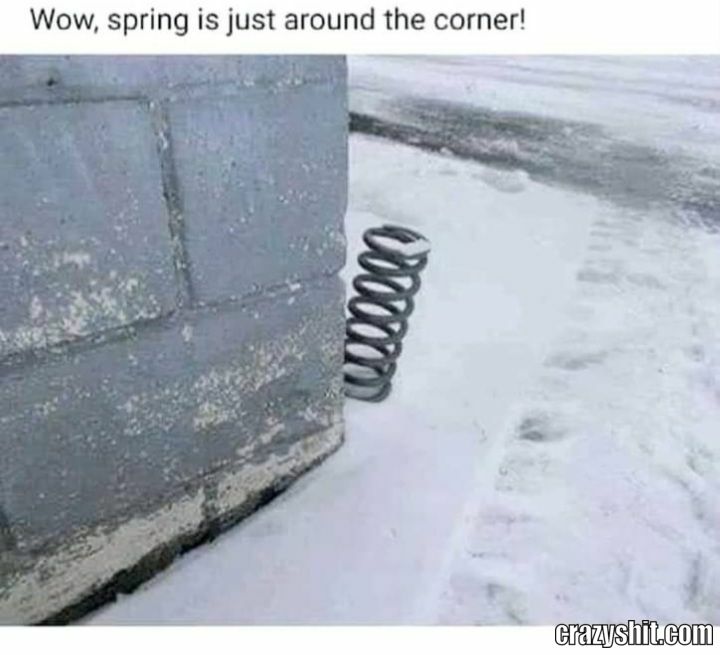 Here Comes The Spring