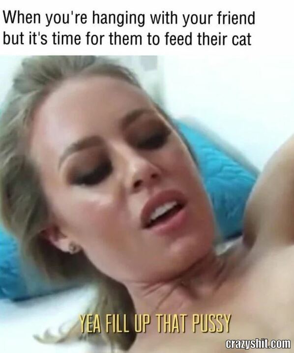 Feed The Cat