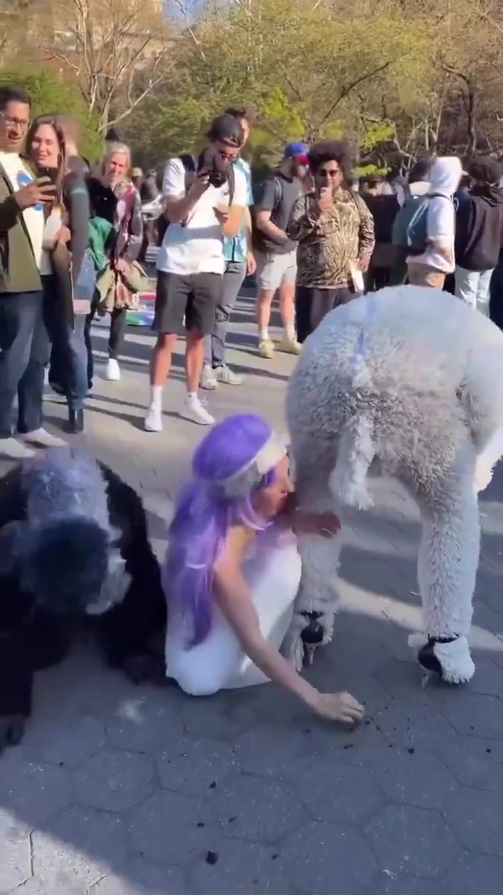 CrazyShit.com | Eat furry shit liberals - Crazy Shit