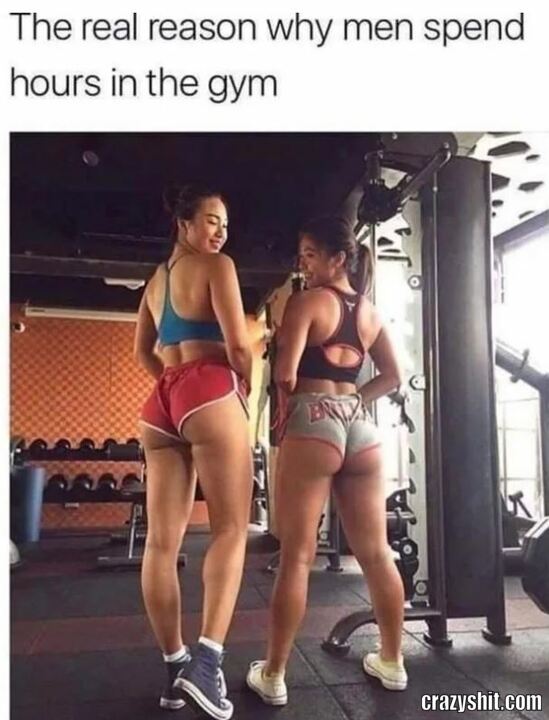 Build This Booty