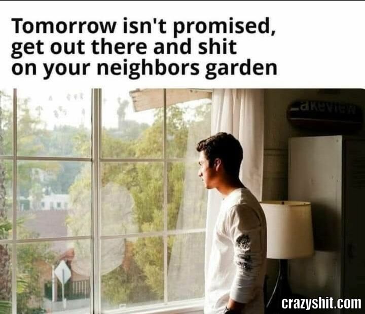 Do It Today