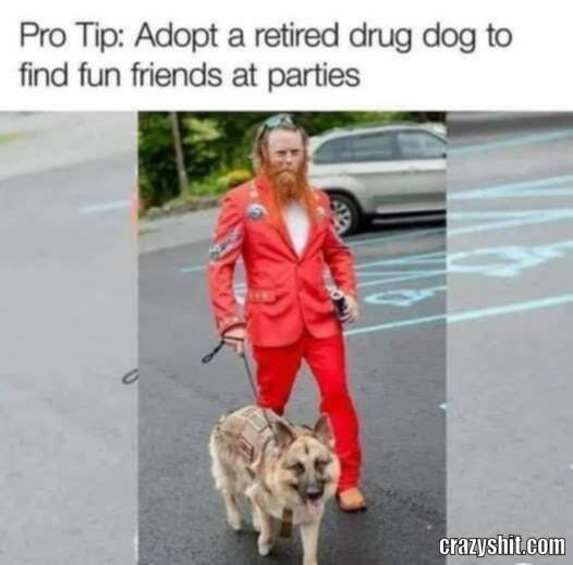 Fun Friends