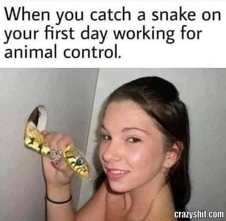 Catch A Snake