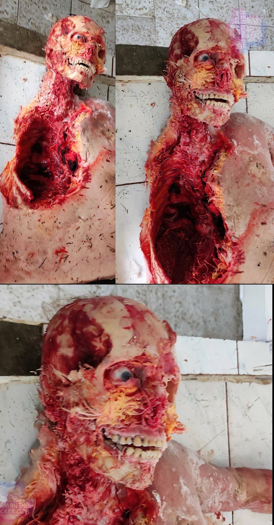 Pigs loves vodka meat