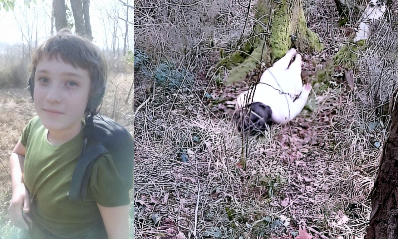 19 Year old French Student found Dead