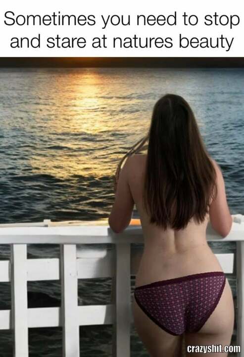 Admire The View