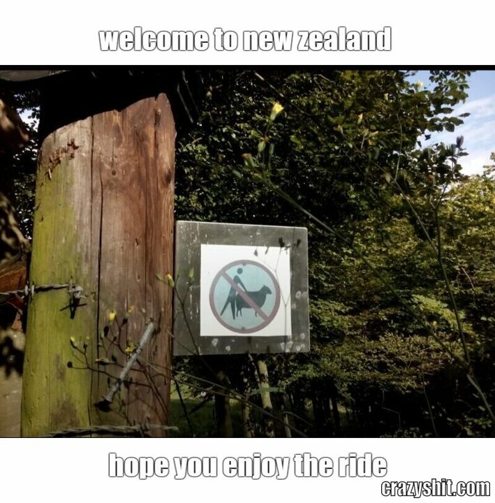 welcome to new zealand