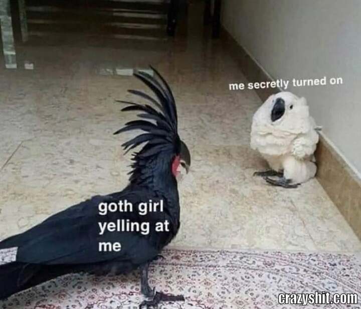 Keep Yelling