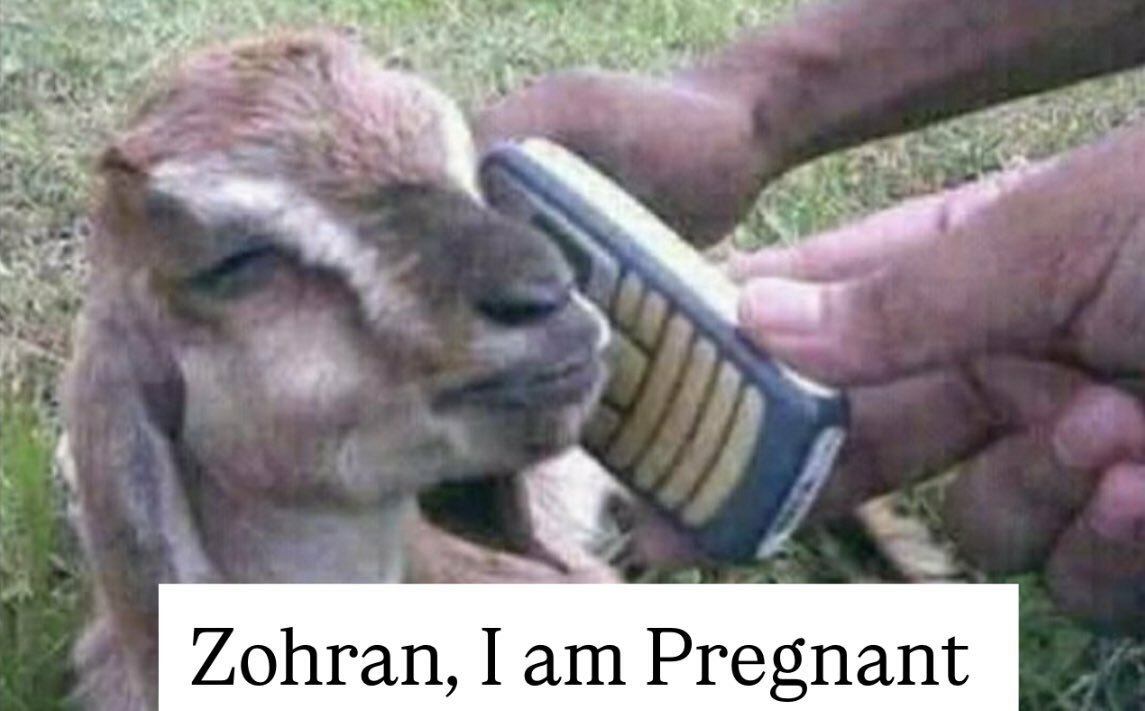 New York Scandal.