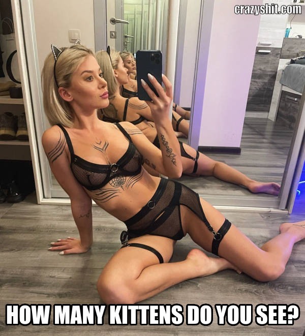 Many Many Kittens