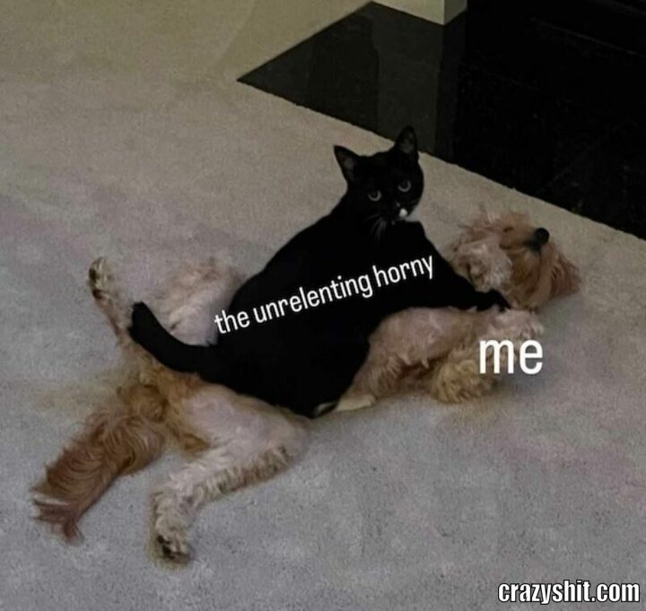 horny