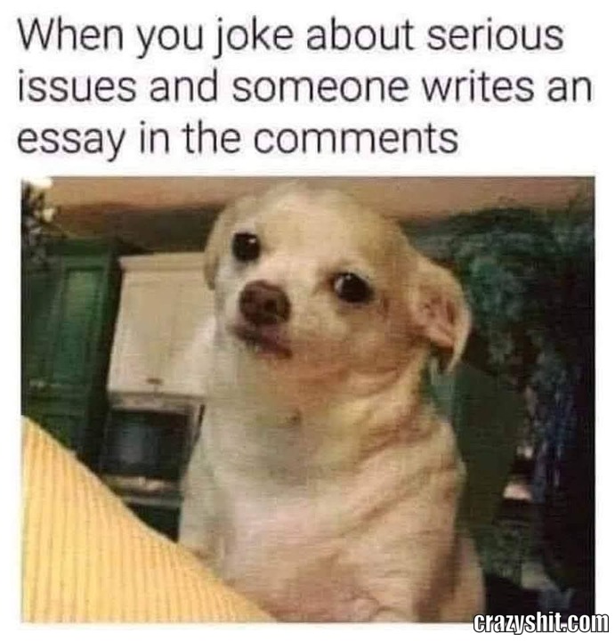 Stop This Nonsense