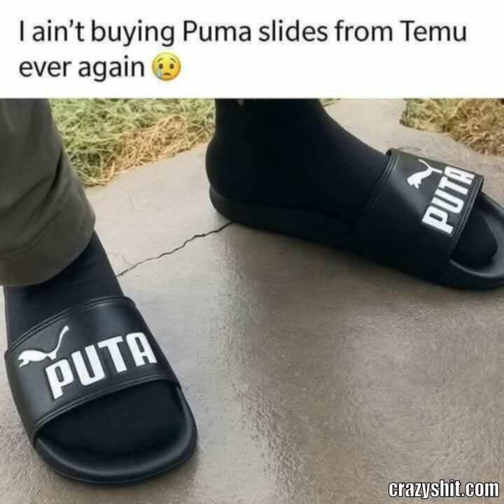 Never Again