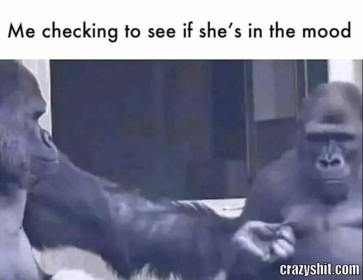 me checking if she in the mood