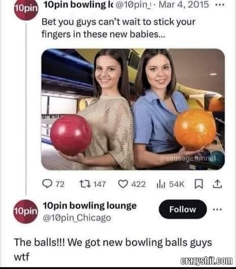 What The Hell Guys